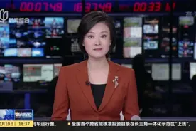 乐高项目落户金山枫泾  千年古镇启动再更新计划视频封面