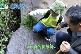 创纪录！“别人家的孩子”发现恐龙足迹，才5岁……图片
