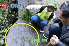 别人家的孩子！四川5岁男孩发现恐龙足迹，刷新纪录图片