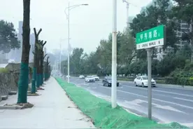 贵阳甲秀南路部分路段行道树移植图片