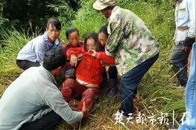“人象冲突”愈演愈烈：云南一家三口采茶遇野象，妻子遭袭受重伤图片