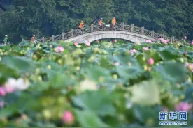 守好绿水青山 换来金山银山——福建三明市践行“两山论”样本观察图片
