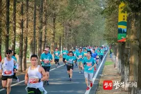南京高淳国际慢城马拉松赛获田协金牌赛事称号图片