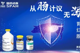 非洲猪瘟采样检测方案，重点做好6点「国药动保」图片