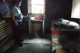 太吓人了！做饭时，厨房角落突然冒出一条蛇图片