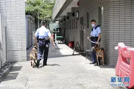 香港警犬队领犬员和他的“家人”图片
