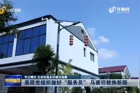 「牢记嘱托 扎实实施乡村振兴战略」菏泽单县基层党组织做好“服务员”马寨村旧貌换新颜图片