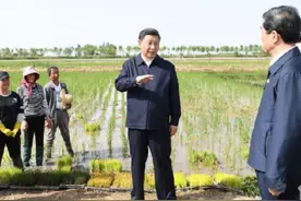 “十三五”，总书记关心的这些事：这五年，粮食安全更稳固图片