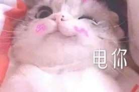 早报超有料丨《你好，李焕英》贾玲沈腾爆笑登场 邓超力荐宫崎骏《崖上的波妞》图片
