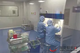 莞企研发出新型细胞，未来有望在治疗病毒性疾病、肿瘤方面发挥作用图片