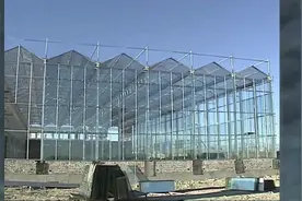 青海油田“十三五”援青脱贫攻坚结硕果视频封面