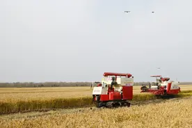 碧桂园北大荒携手，世界首个超万亩无人农场在黑龙江亮相图片