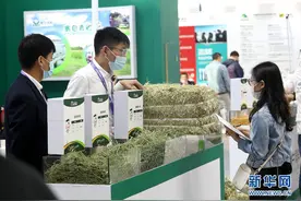第十一届中国奶业大会在石家庄开幕图片