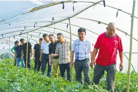 浙报关注︱黄岩区新联会：情系瓜农十三载 精准帮扶促增收图片