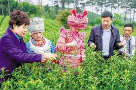 42年来农民收入从165元到29876元 浙江是怎样做到的图片