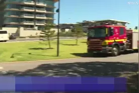 排水沟传出狗叫16名消防员前来营救 发现居然是青蛙在叫图片