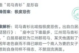 蚂蚁庄园成语司马青衫是形容什么？2020年10月13日问题答案图片
