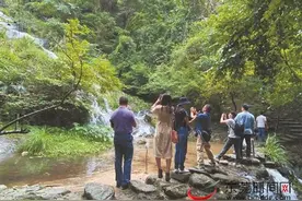 韶关农旅融合精品线路获东莞旅游业界点赞图片