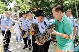海南侦破特大贩卖野生动物案 查扣一级保护动物及制品981件图片