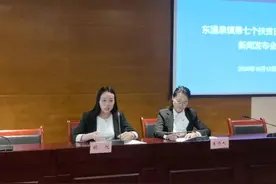 “深秋十月300亩金丝皇菊即将盛开”：巴南区东温泉镇邀您来共赏300亩黄金＂菊浪＂，共品清甜菊花茶图片