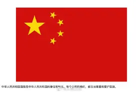 公民庄重场合可佩戴国徽徽章图片