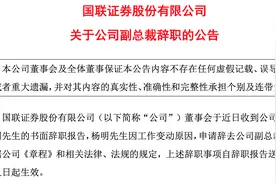 国联证券：因工作变动，副总裁杨明辞职图片