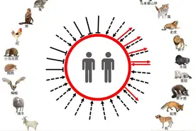 新冠病毒如何跨种传播？中国团队试验26个物种，找到重要线索图片
