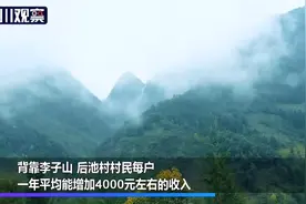 乡约小康④爱唱歌的彝族姑娘：想去看看外面的世界图片