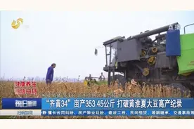 厉害了！“齐黄34”亩产353.45公斤，打破黄淮夏大豆高产纪录视频封面