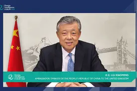 疫情背景下，气候变化与能源转型发展面临什么形势？刘晓明大使提出三个动向图片