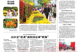 洛阳空气质量改善率居全省和汾渭平原双第一图片