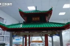 身边的好青年｜蒋晟晖：用外国积木传递中国文化的“乐高大师”图片