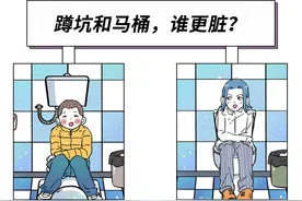 蹲坑和马桶，到底哪个更脏？图片