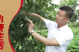 走向我们的小康生活：种下绿梦 收获希望视频封面