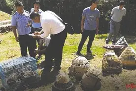 濒危动物上餐桌 一起命案牵出的买卖野生动物大案图片