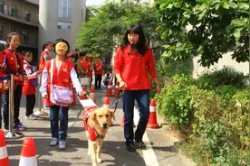供需悬殊 导盲犬事业更待推进视频封面