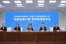 【决胜全面小康】亭湖：提升首位度、建强主城区图片