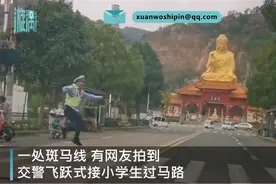 交警跳跃式接小朋友过马路，还给过往车辆敬礼示意，网友：可可爱爱图片