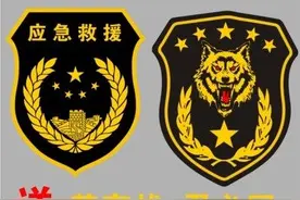 “应急救援”“公务用车”“新闻采访”……网售车贴几元一张随便买？图片