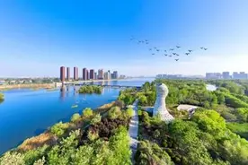纵览“浐灞八景”｜湿地观鸟：人与自然和谐共生的美妙画卷图片