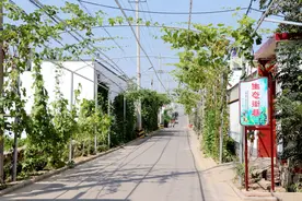 “五个优化”，滕州市东郭镇共建共享幸福美好新生活图片