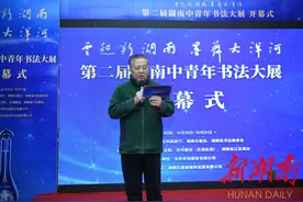 浓情淡墨潇湘美“云起新湖南 墨舞大洋河”第二届湖南中青年书法大展今日在长开幕图片