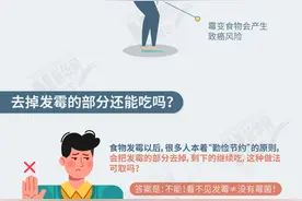 发霉食物致癌？正确储粮方法了解一下图片