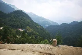“小兰花”香透大别山——茶叶百强县安徽舒城的脱贫突围图片
