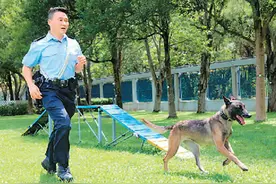 警队领犬员和他的“家人”图片