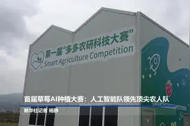 首届草莓AI种植大赛：人工智能队领先顶尖农人队视频封面