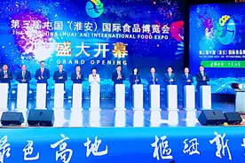 年假轻松安排，看看运河之都、美食之乡的淮安图片