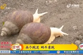 寿光男子养白玉蜗牛，蔬菜、粮食啥都吃，一斤14.5在法国供不应求视频封面