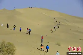 新疆博湖：沙漠马拉松 奔跑者的狂欢图片