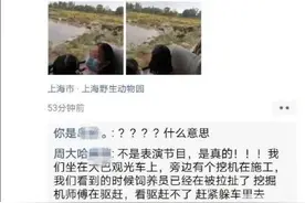 突发！动物园一饲养员被熊群攻击遇难图片